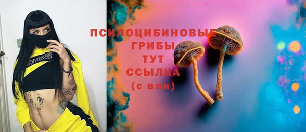 мяу мяу мука Баксан