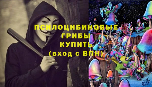 мескалин Белокуриха