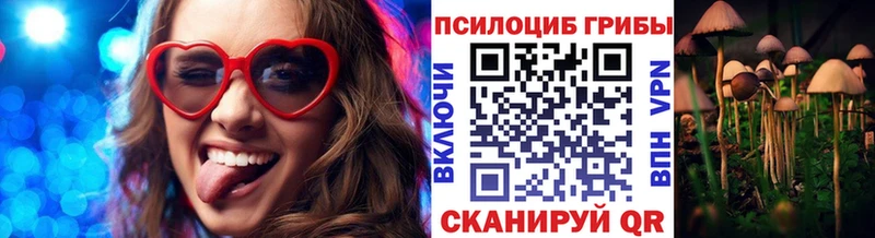 Псилоцибиновые грибы Psilocybe Лобня
