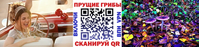 Купить  Лобня  Псилоцибиновые грибы MAGIC MUSHROOMS 